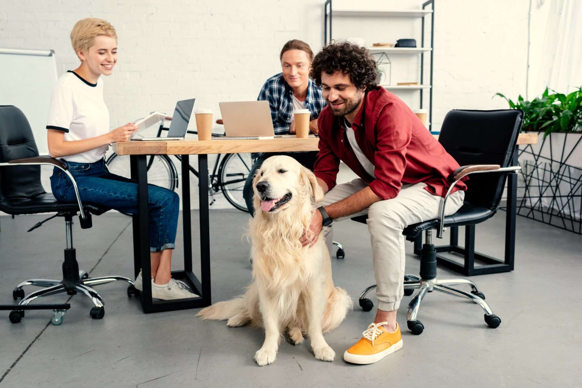 dog at work, bien-être au travail, politiques dog-friendly