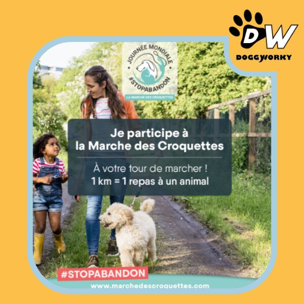 Contre l_abandon bien-être protection chien au travail