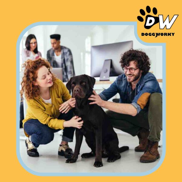 Journée international chien au travail bien-être QVT RH