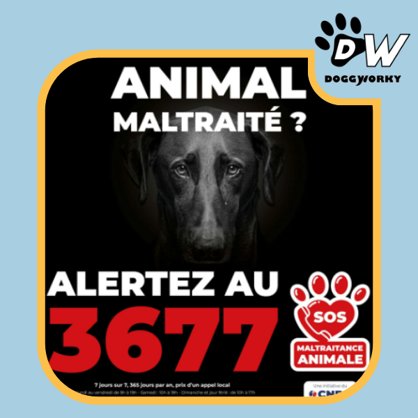 Maltraitance animal protection bien-être chien au travail