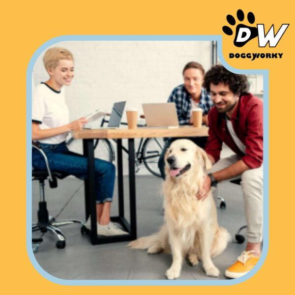 Tendances QVT bien-être chien au travail ergonomie chien au travail espace de travailinternational chien au travail bien-être QVT RH