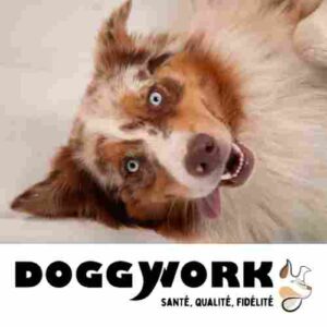 Chien au travail santé DoggyWorky