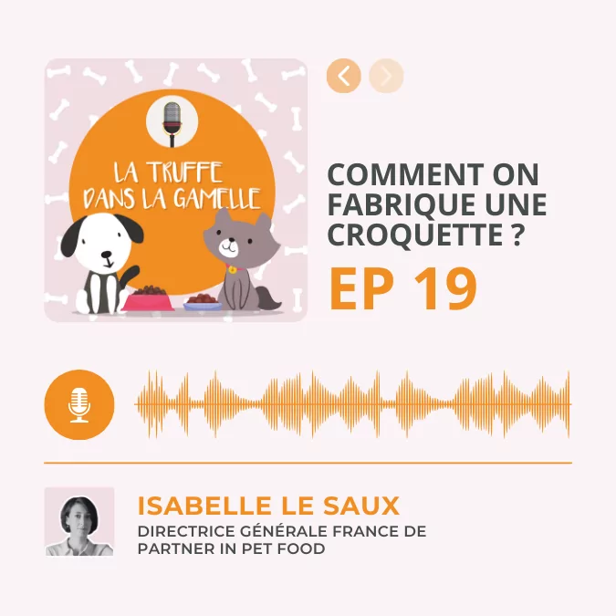 episode podcast La truffe dans la gamelle