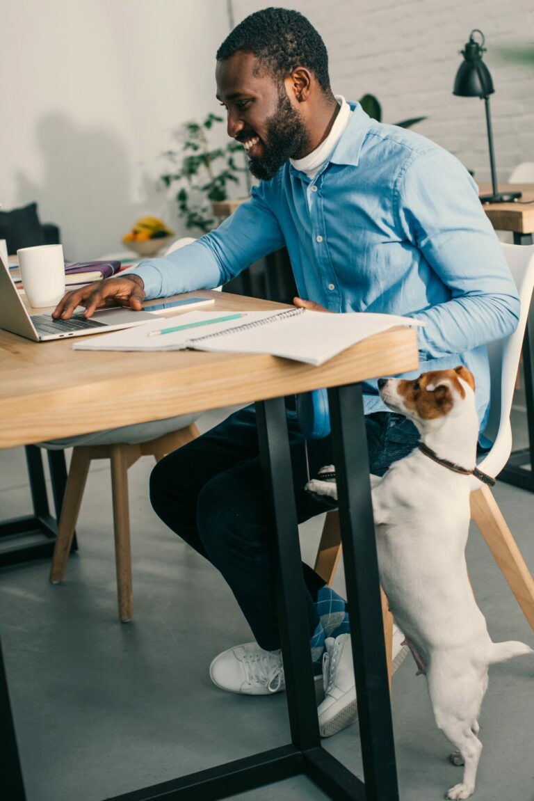 Burn out, bore out, blur out, brown out chien au travail bien être QVCT