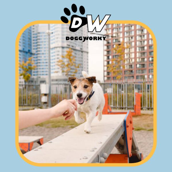 chien ville equipement entreprises dogfriendly travail bien-être
