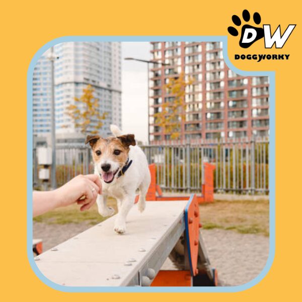 Ville dog-friendly entreprise QVT chien au travail