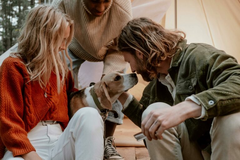 chien au travail bien-être animal rétropédalage télétravail
