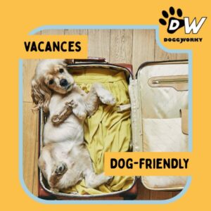 2 Travailler avec son chien, c’est aussi partir en vacances avec lui