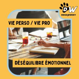 Equilibre Vie perso Vie pro Chien au travail dogatwork doggyworky