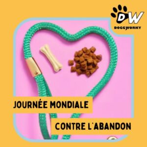 Journée mondiale contre l’abandon un enjeu toujours aussi urgent
