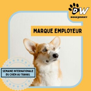 Marque employeur : le dog-at-work, un atout différenciant