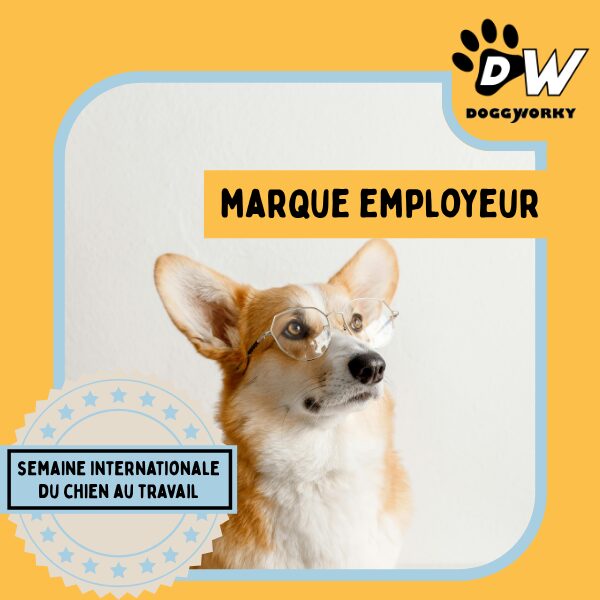 Marque employeur : le dog-at-work, un atout différenciant