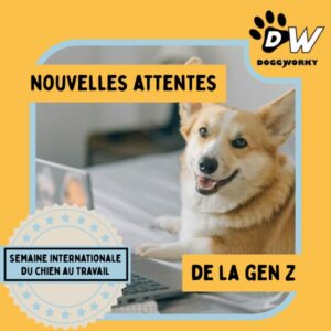 Semaine internationale chien au travail - jour 2 nouvelles attentes des collaborateurs