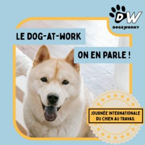 Journée internationale du chien au travail : bienfaits, enjeux et perspectives